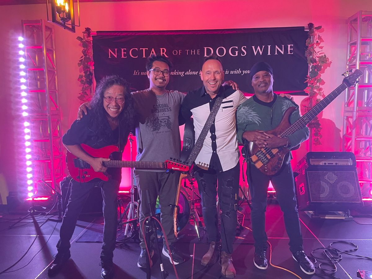 LIVE Music: Doc Rogers Band