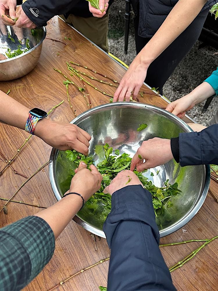 FEELING BLUE, visit dye garden and dye with fresh Indigo, 2pm on 15th Sept