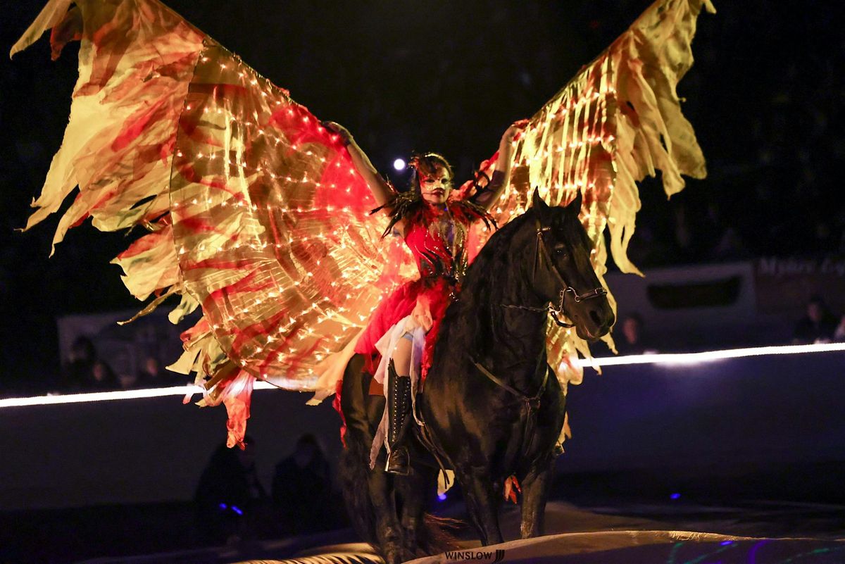 Dream Horse Journey - a breathtaking equine show!