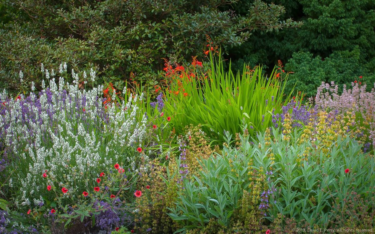 Vista Gardens Plant Propagation Workshop