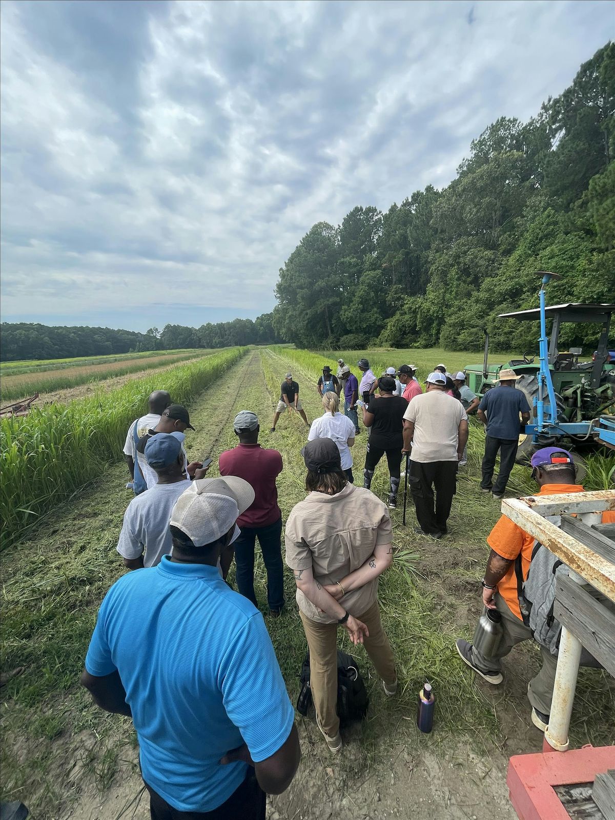 Climate Smart Grown in SC  Leafy Greens Field Day - Charleston