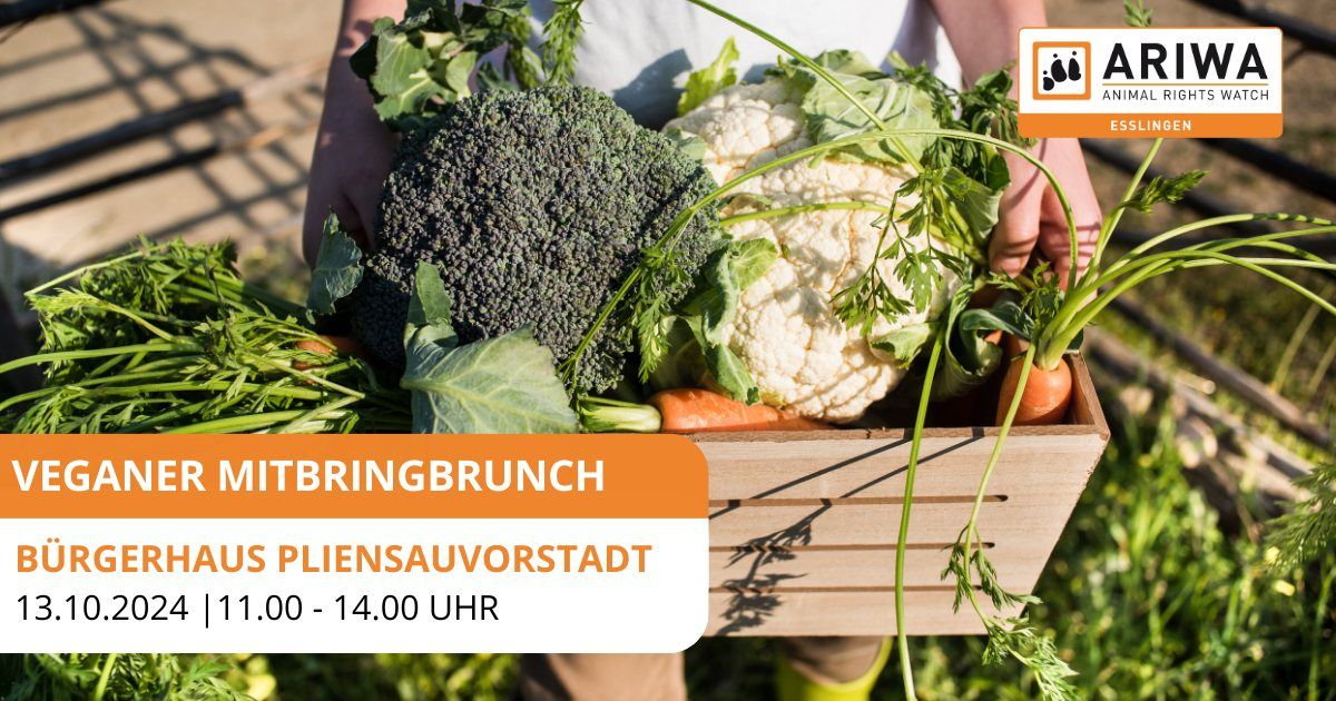 Der vegane Mitbringbrunch Esslingen