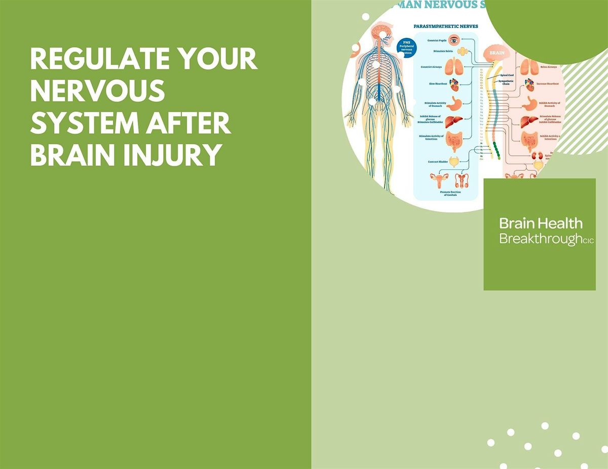 Regulate your Nervous  System After Brain Injury