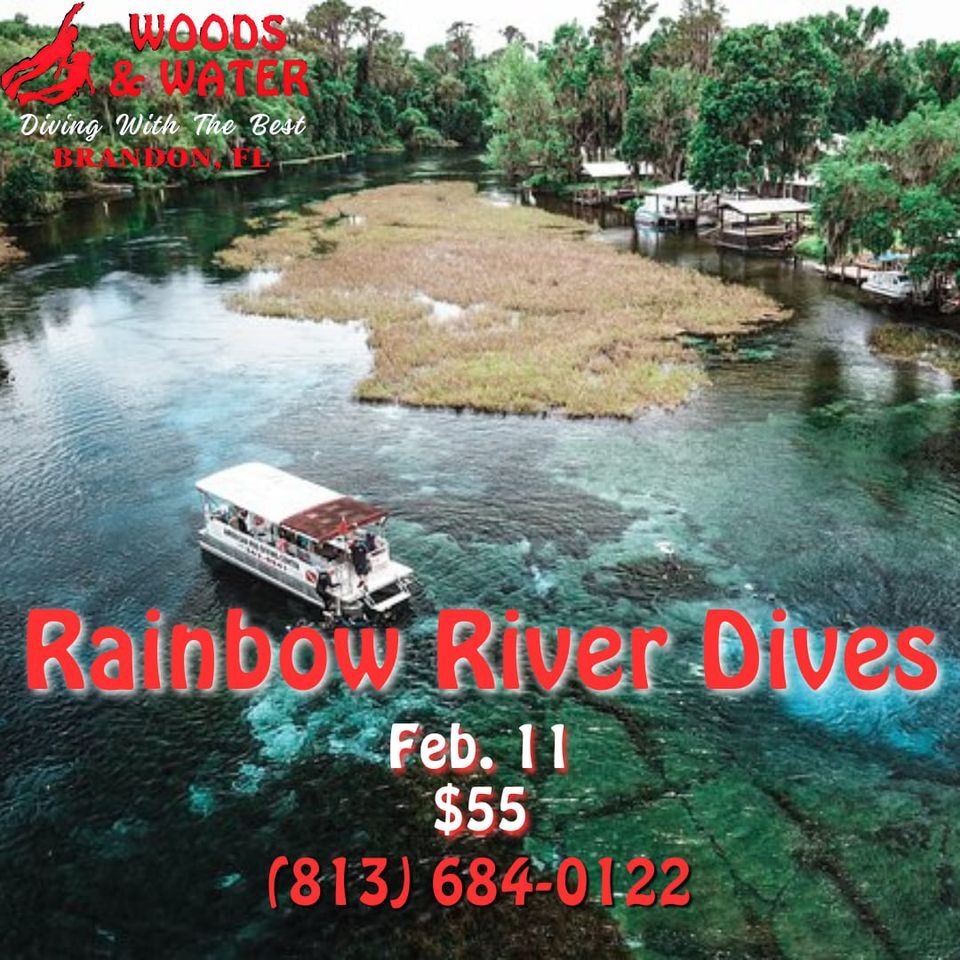 Rainbow River Dive