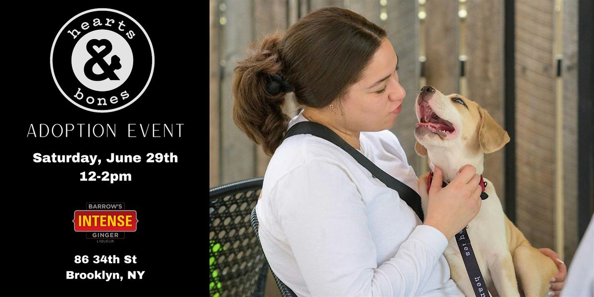 Hearts & Bones Rescue Dog Adoption Event