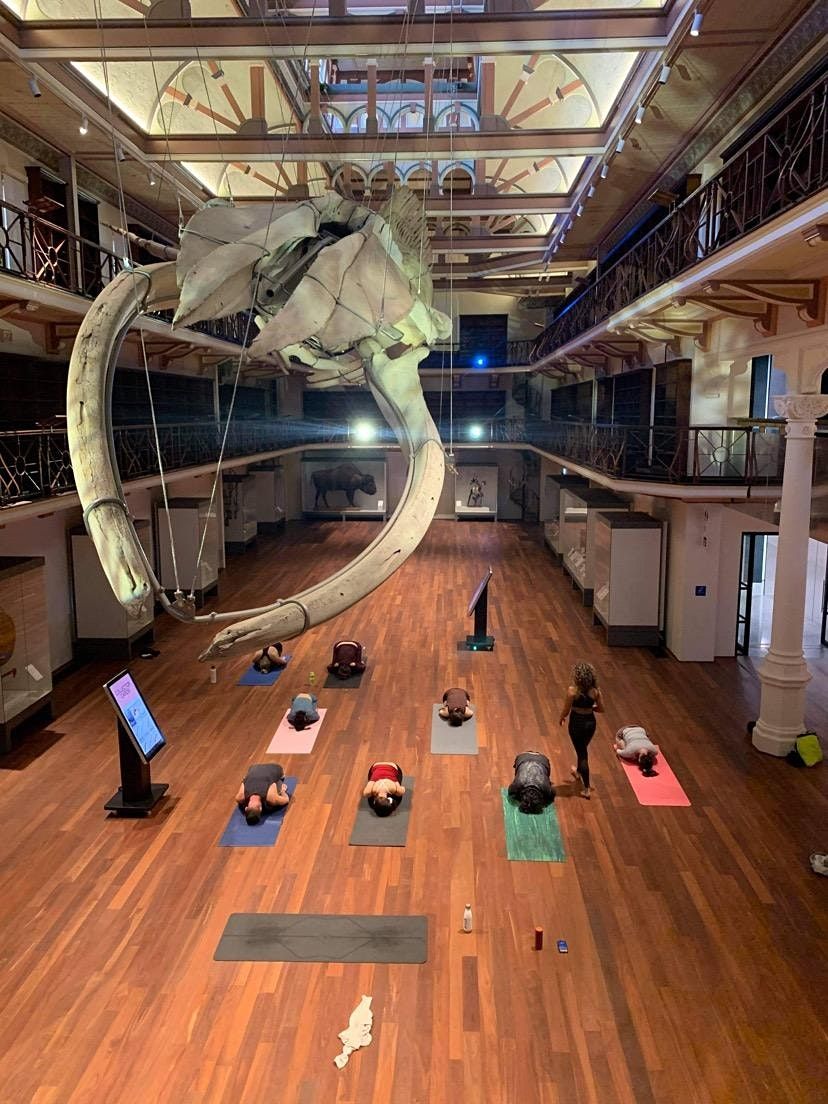 Saturday Yoga at the WA Museum