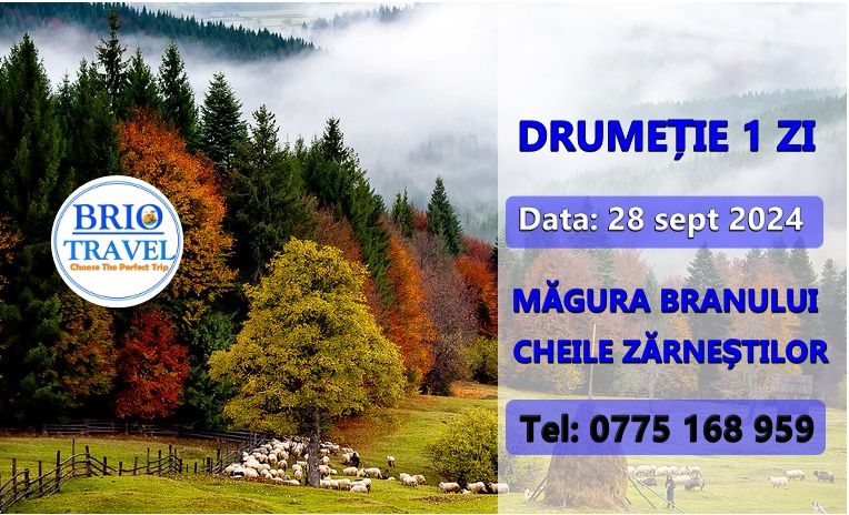 Drume\u021bie 1 ZI-M\u0103gura Branului-Cheile Z\u0103rne\u0219tilor