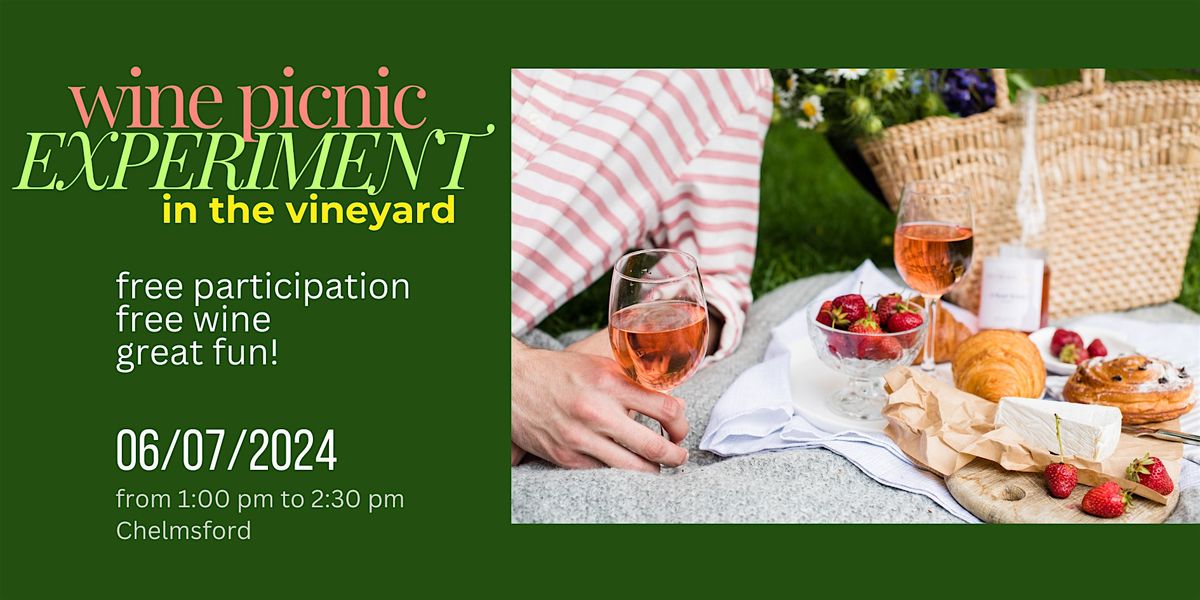 Wine picnic in the vineyard experience