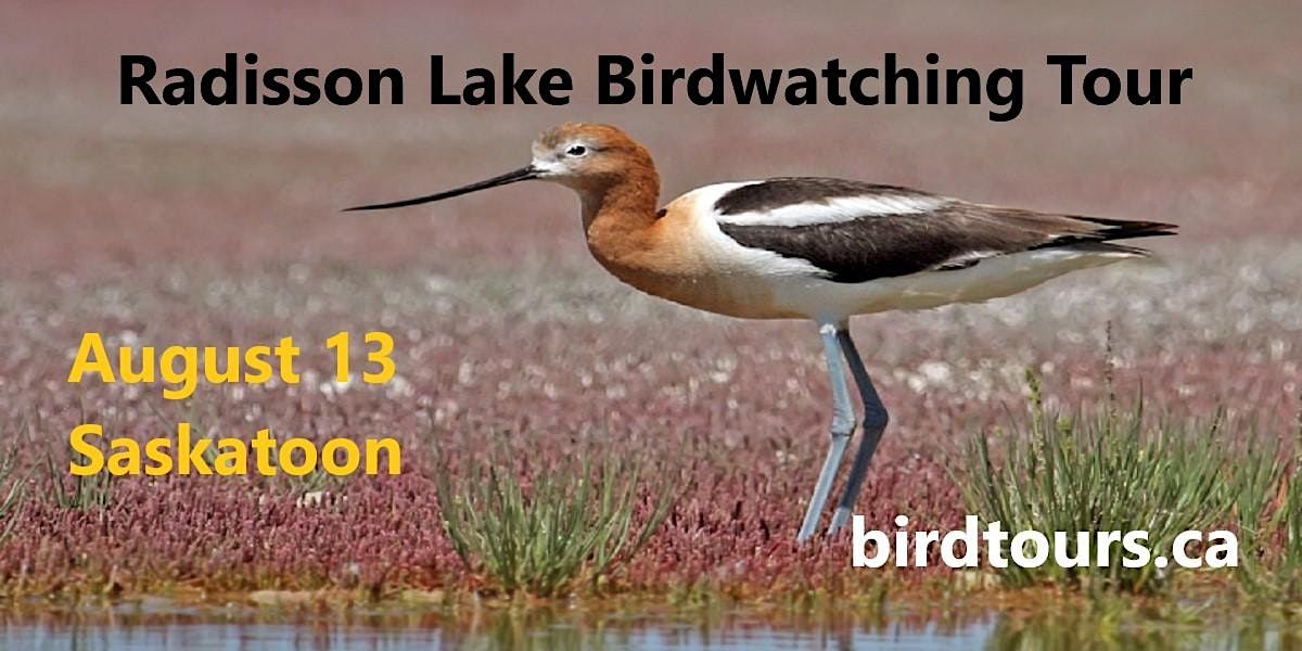 Radisson Lake Birdwatching Tour