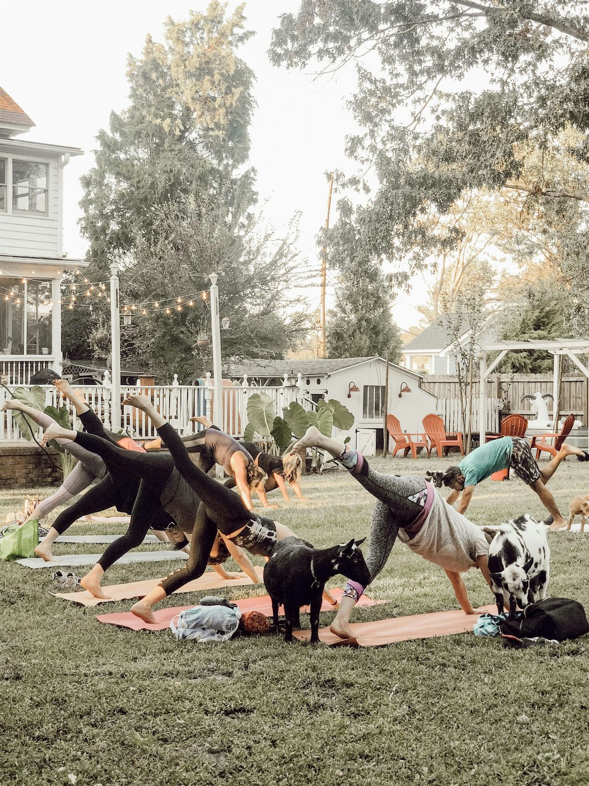 Goat Yoga at Flowertown Charm