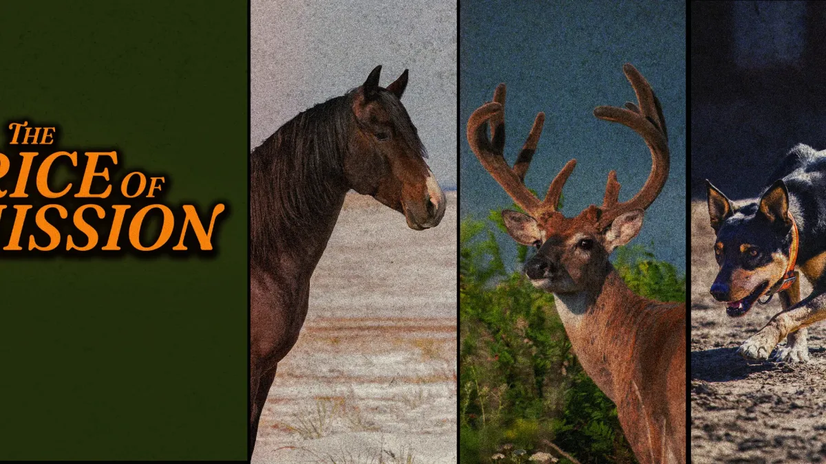 Turnpike Troubadours, Dave Simonett in Minneapolis