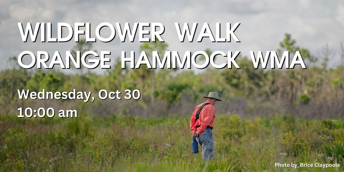 Orange Hammock Wildflower Walk