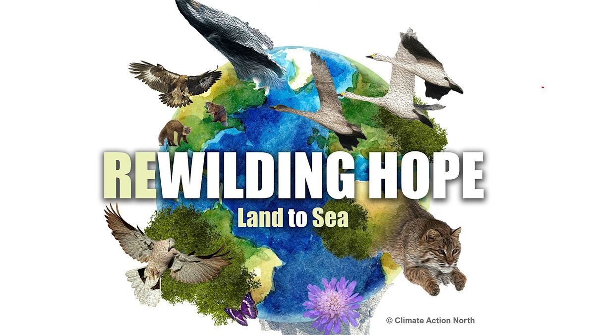 Rewilding Hope - Land to Sea