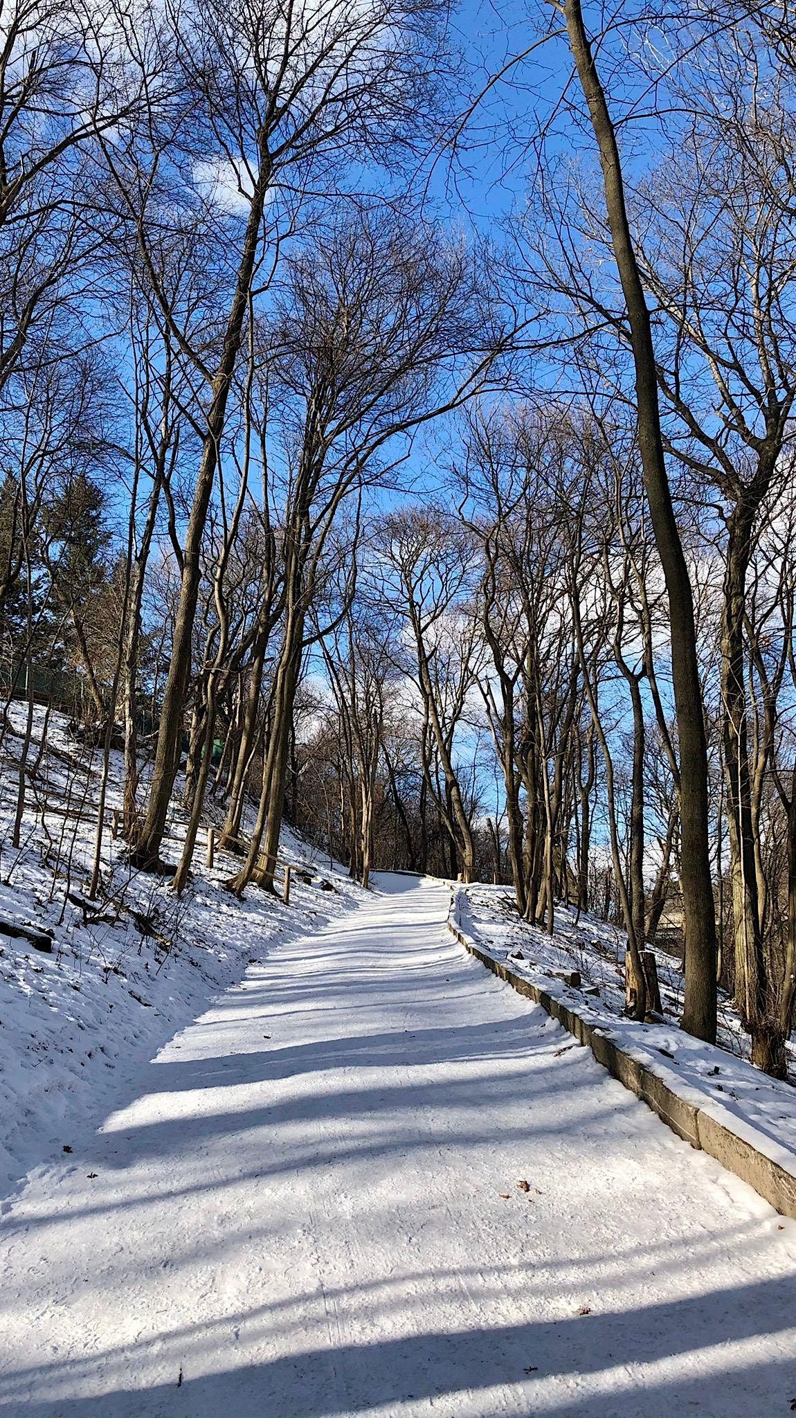 David Balfour to Moore Park Ravine Trail Loop