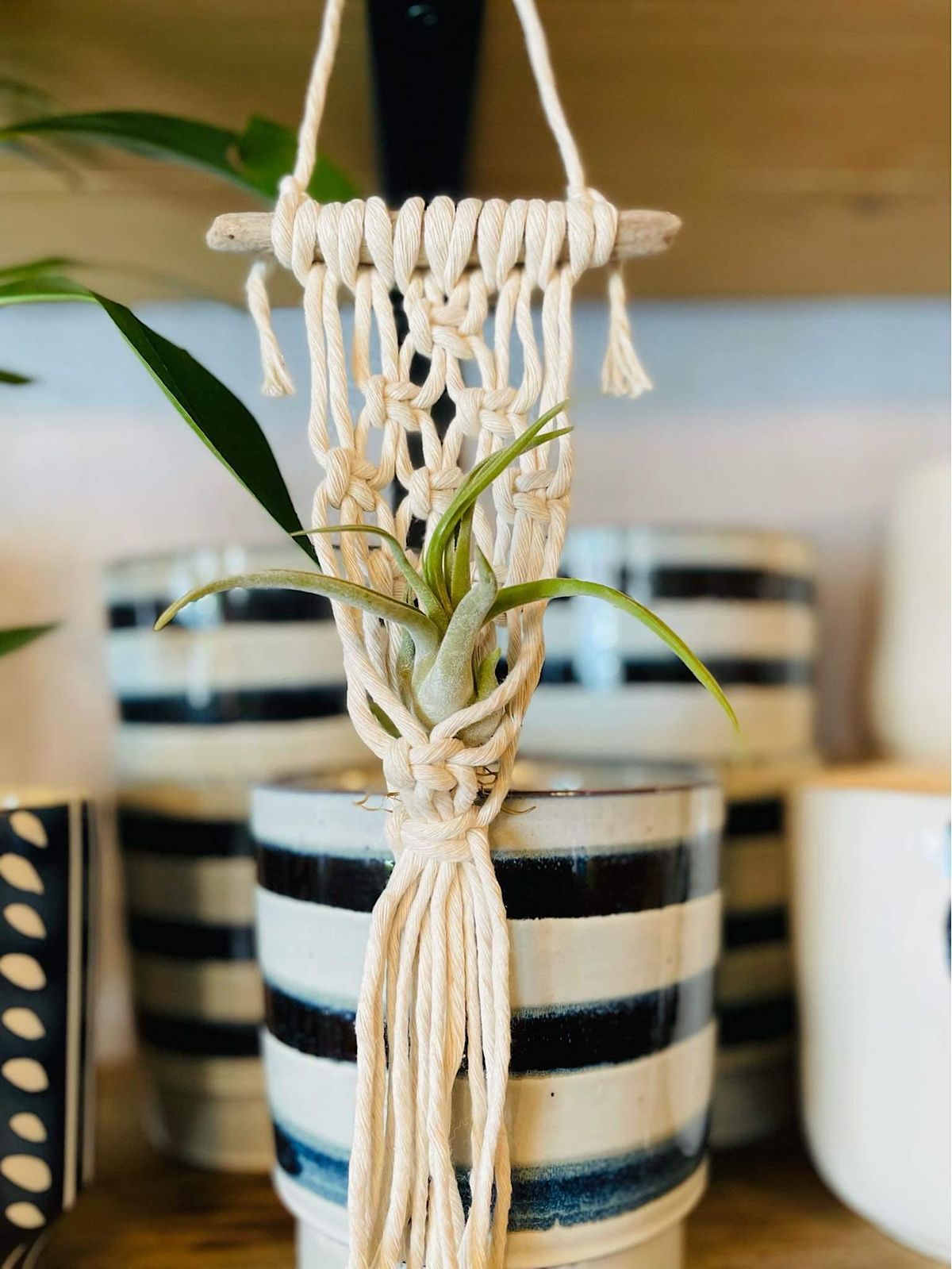 Ladies Night Macrame Workshop: Mini Air Plant Holder-3:30