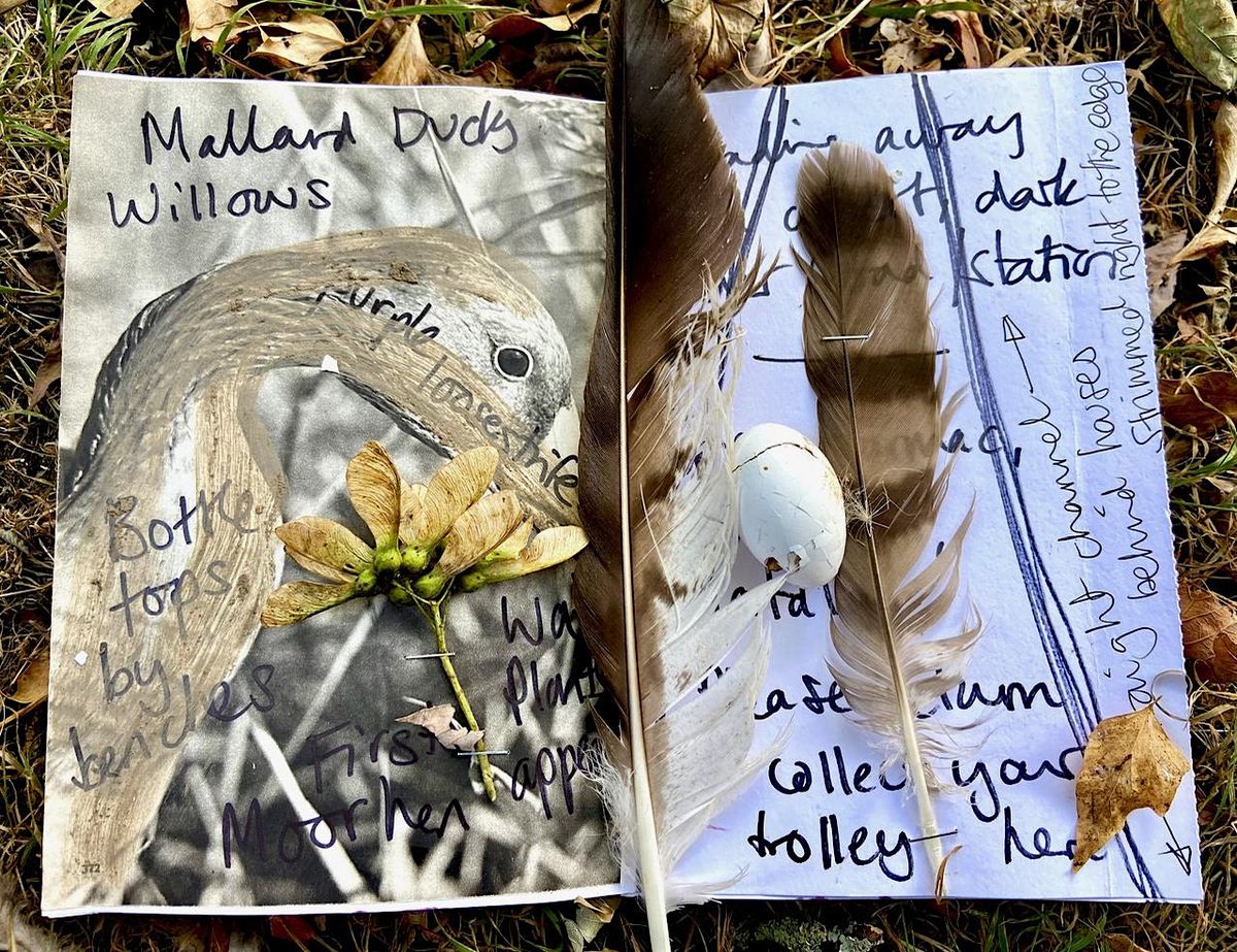 Creative River Walk with James Aldridge and Norfolk Rivers Trust