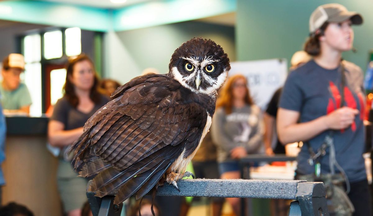 Bulls Bay Nature & Heritage Festival