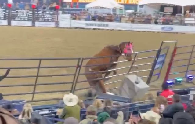 Protest Rodeo @ Petco Park #3 * (3 of 3)