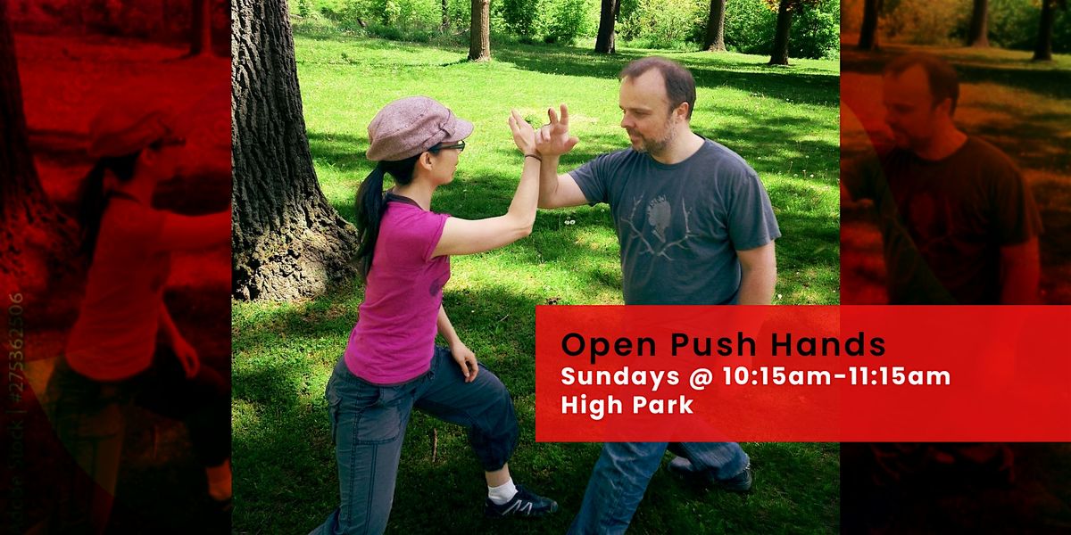 Open Tai Chi Push Hands in High Park