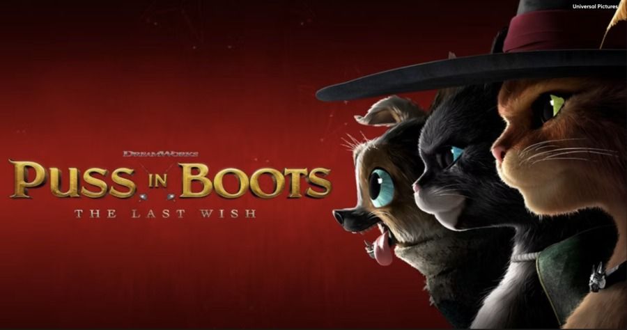 Puss in Boots: The Last Wish - Sunday Night Movies on the Beach