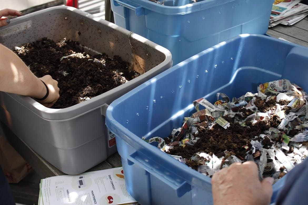 Vermicomposting 101: How to Create and Maintain a Simple Compost Bin