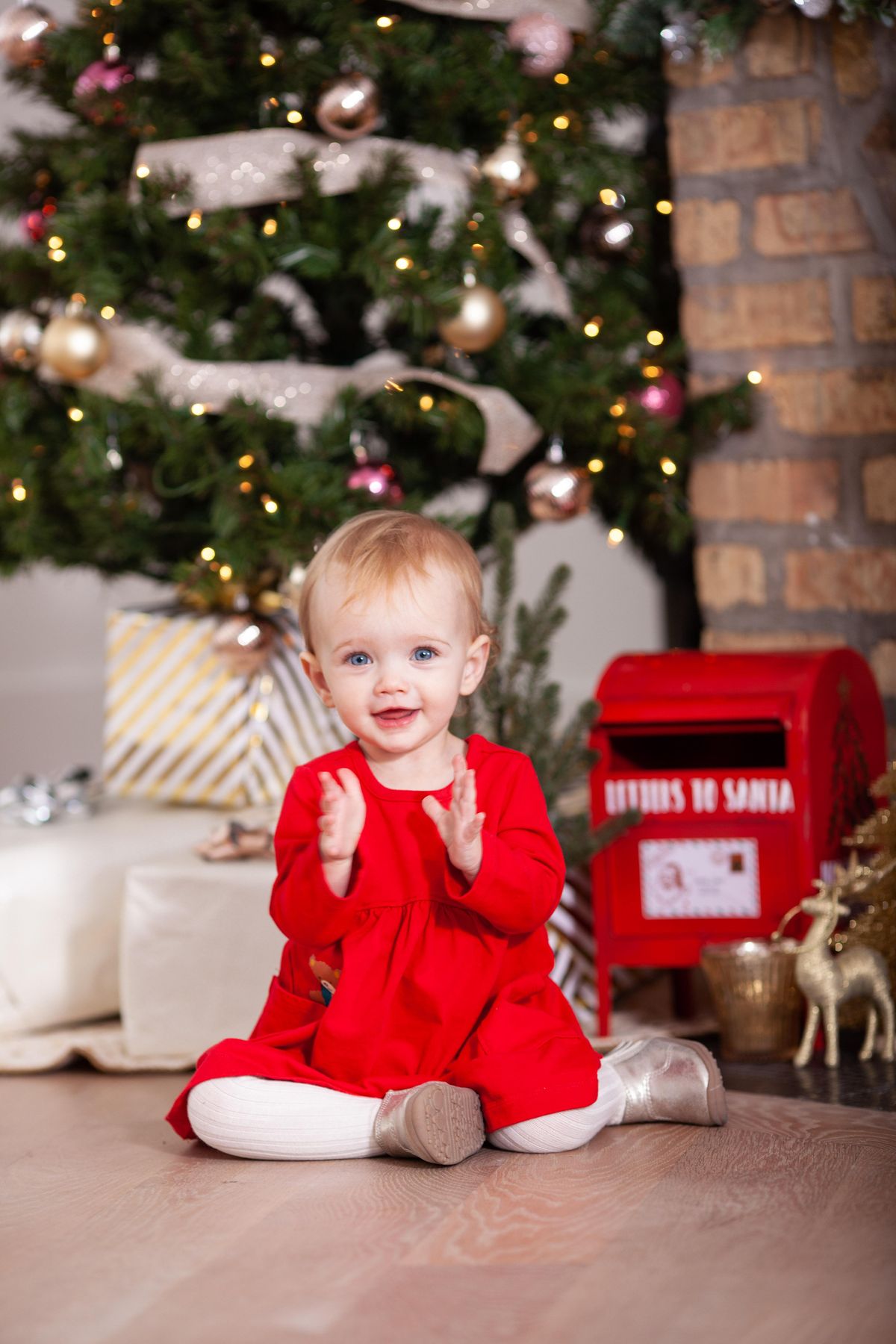 CHICAGO HOLIDAY MINI KIDS OR FAMILY PHOTOGRAPHY SESSIONS - NOV 26th 2022
