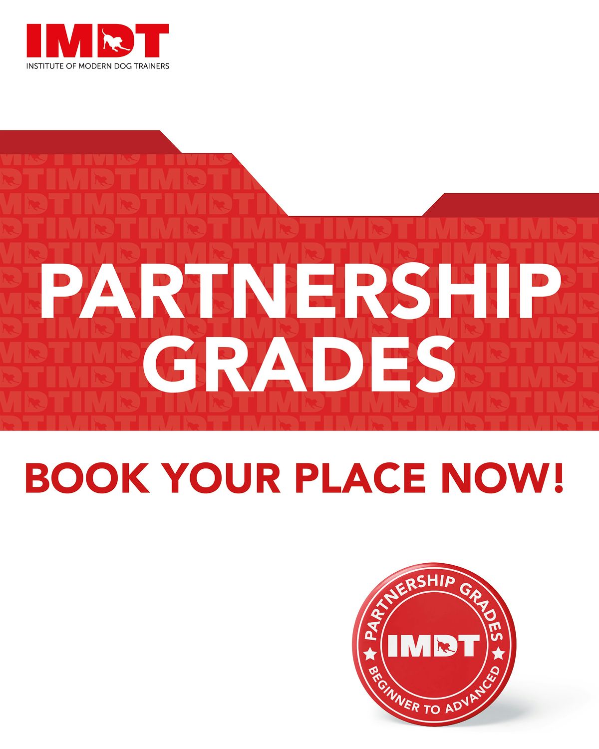 IMDT Partnership Awards Classes