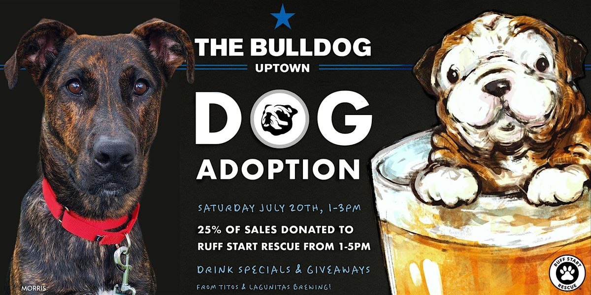 Dog Adoption & Fundraising Event at The Bulldog Uptown