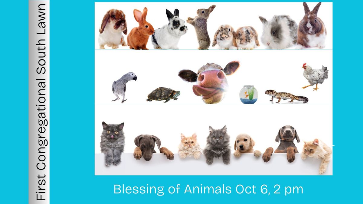 Blessing of the Animals