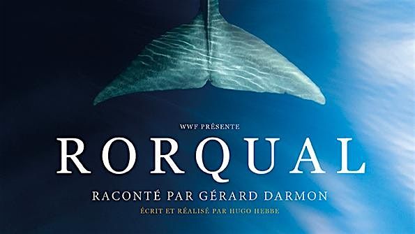 Projection du film Rorqual du WWF en pr\u00e9sence de Denis Ody