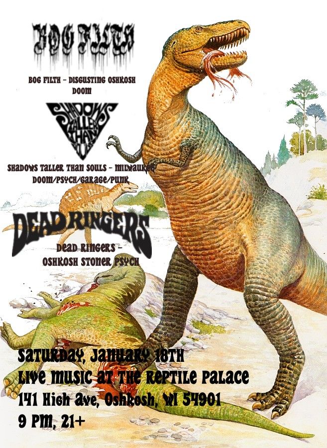 Dead Ringers, Bog Filth, and STTS LIVE at the Reptile Palace, 1\/18 9PM 21+