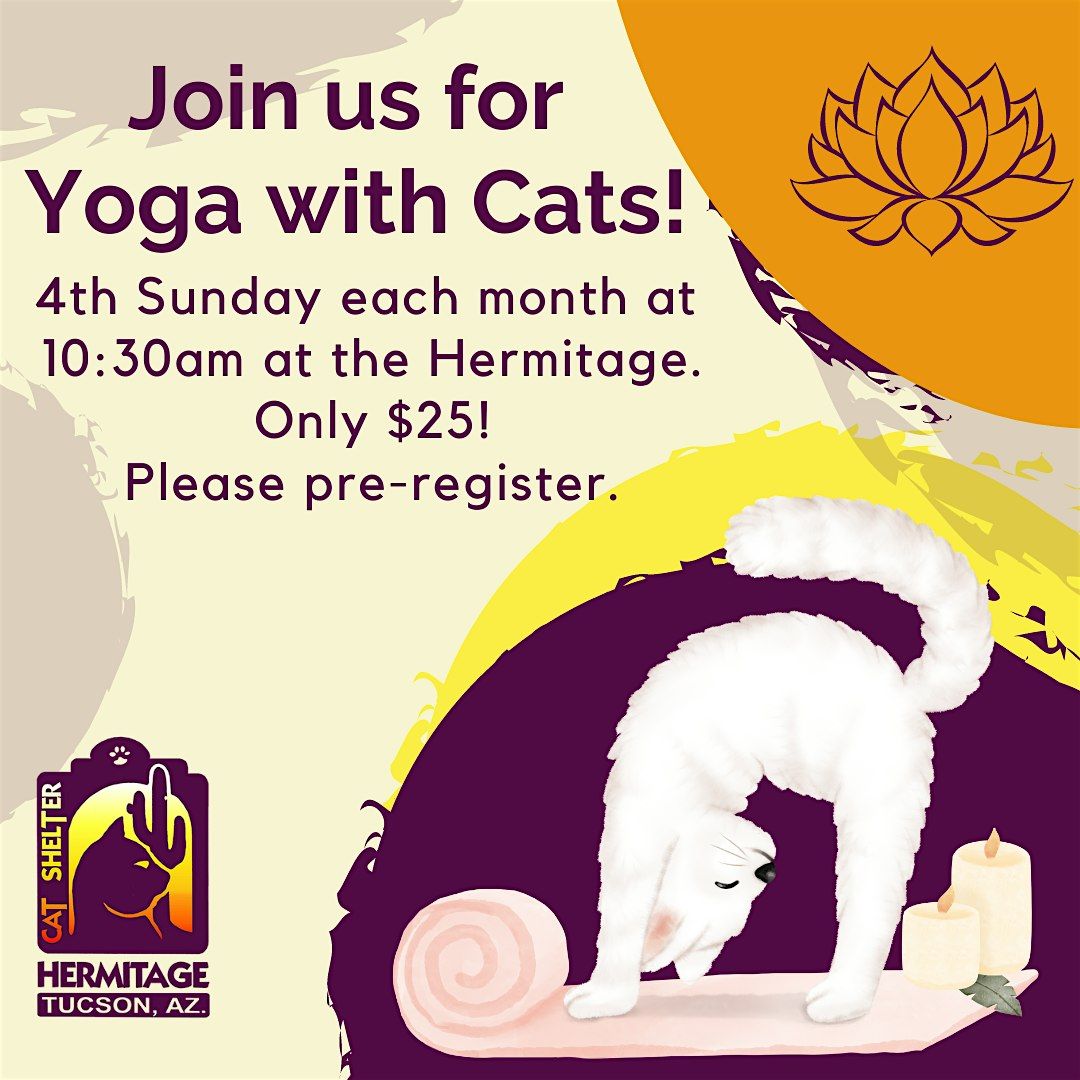 Yoga with Cats