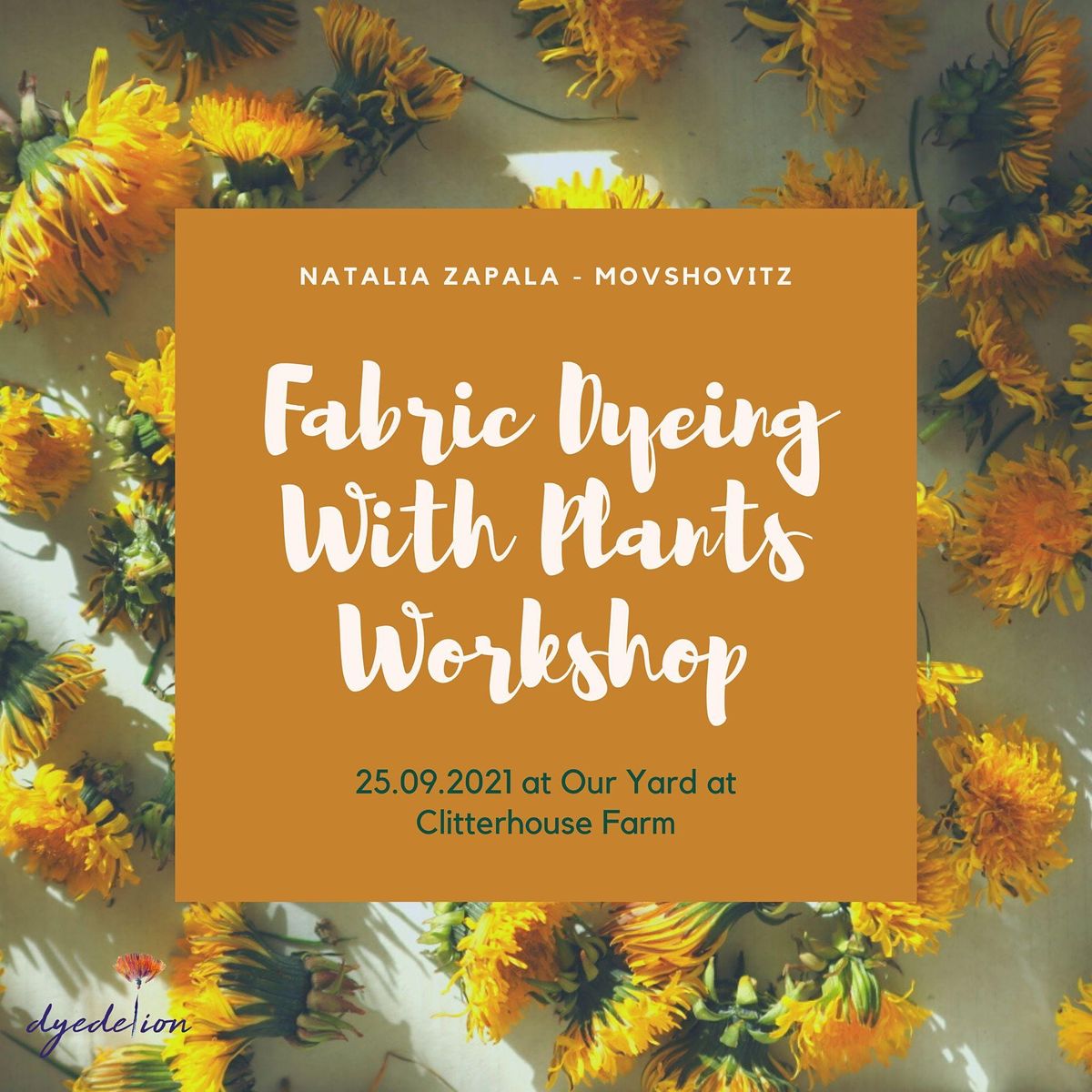 Fabric Dyeing with Plants Workshop
