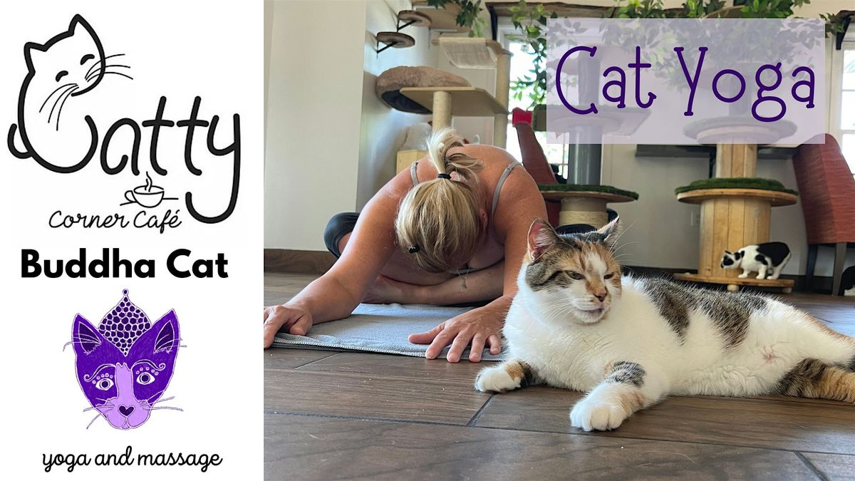 Cat Yoga at Catty Corner Cafe