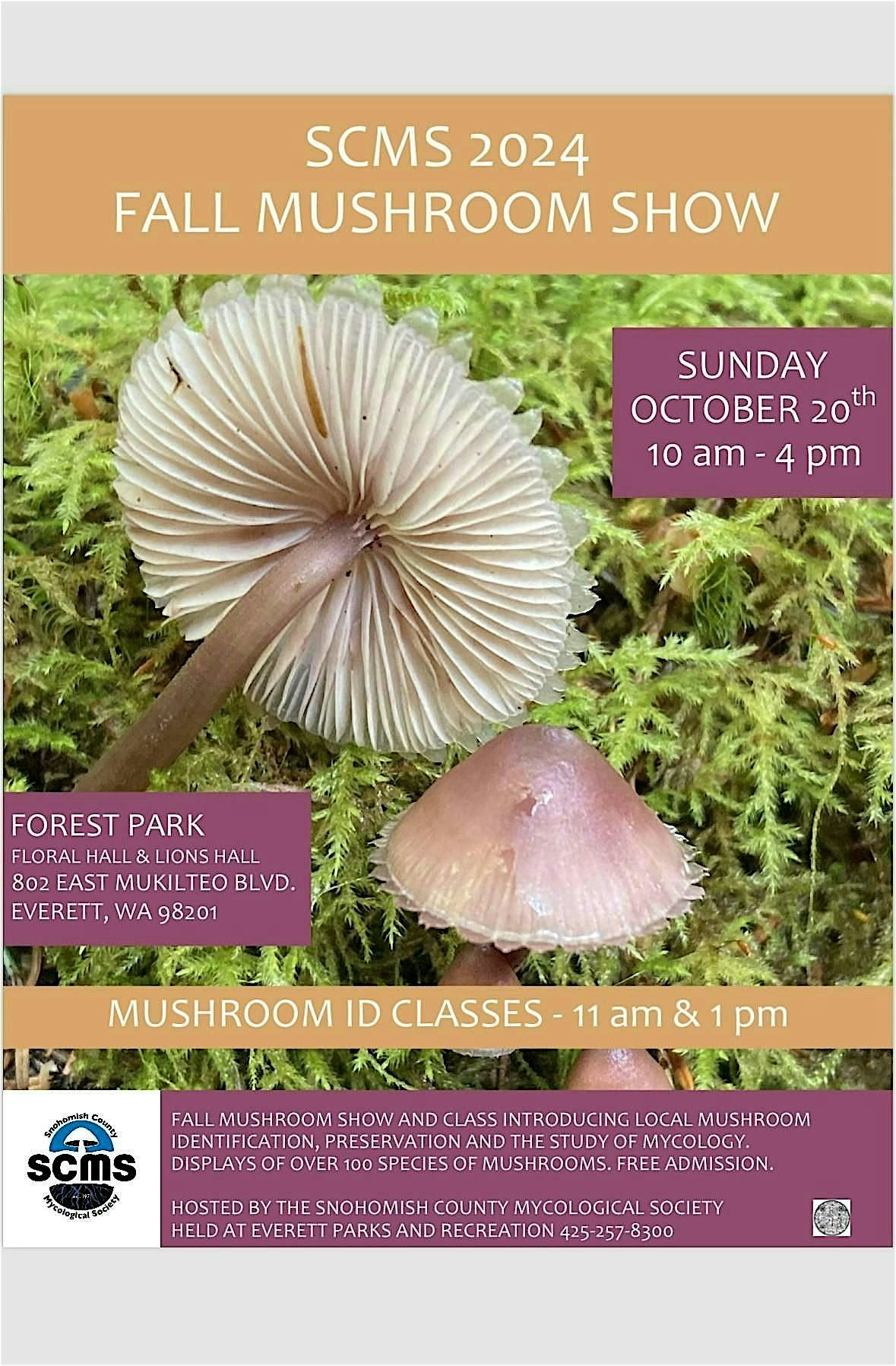 Wild Mushroom Show