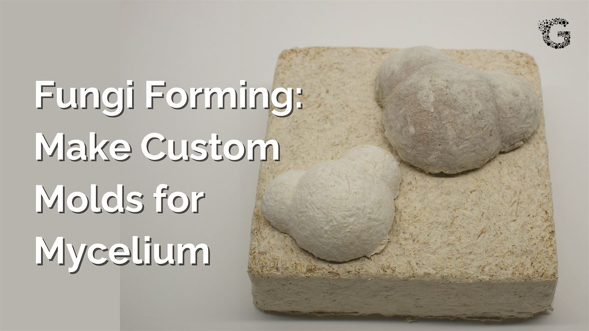 Fungi Forming: Make Custom Molds for Mycelium