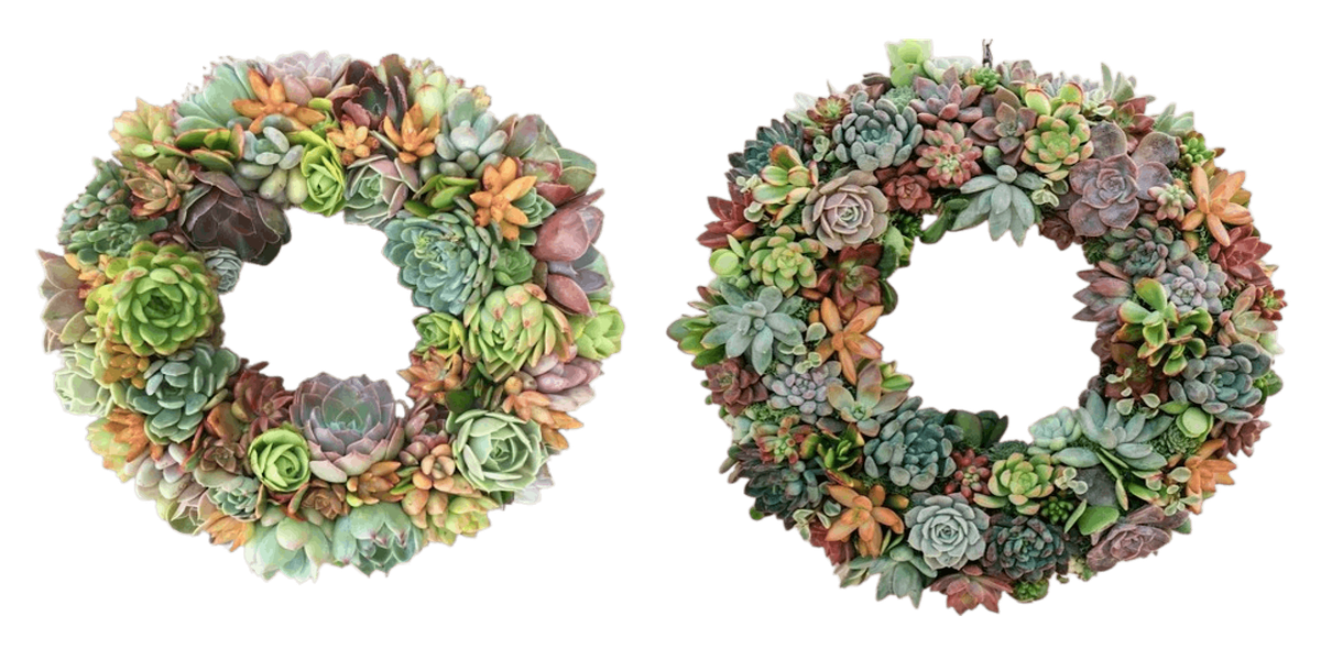 Succulent Wreath Workshop