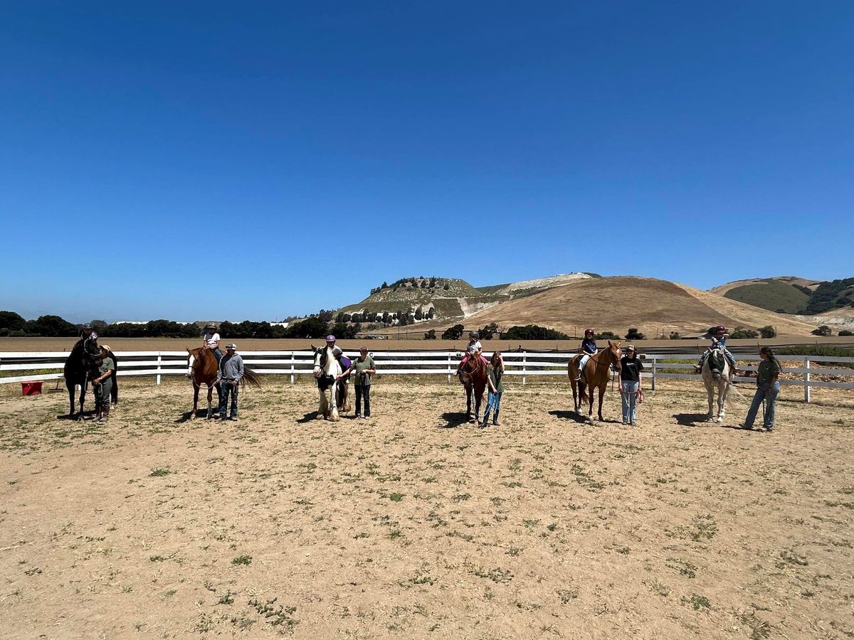 Ali Kermeen Working Equitation Ease of Handling Clinic