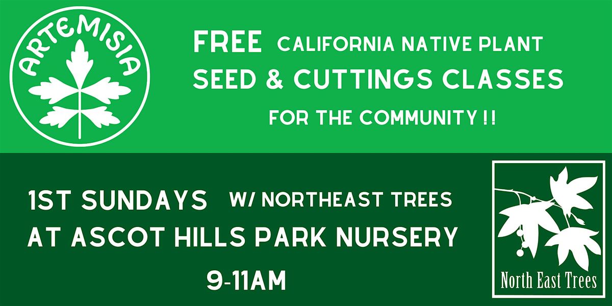 Native Plant Seed and Propagation Classes - FREE at Ascot Hills Park