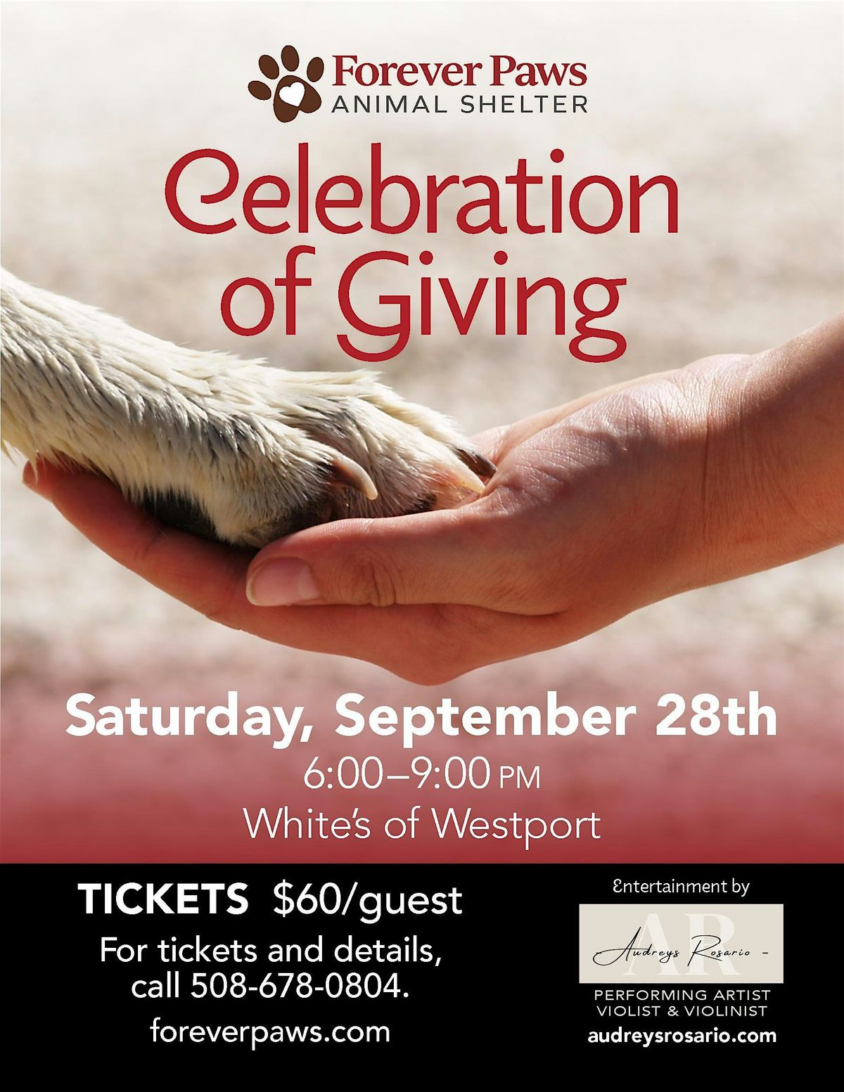 The Celebration of Giving