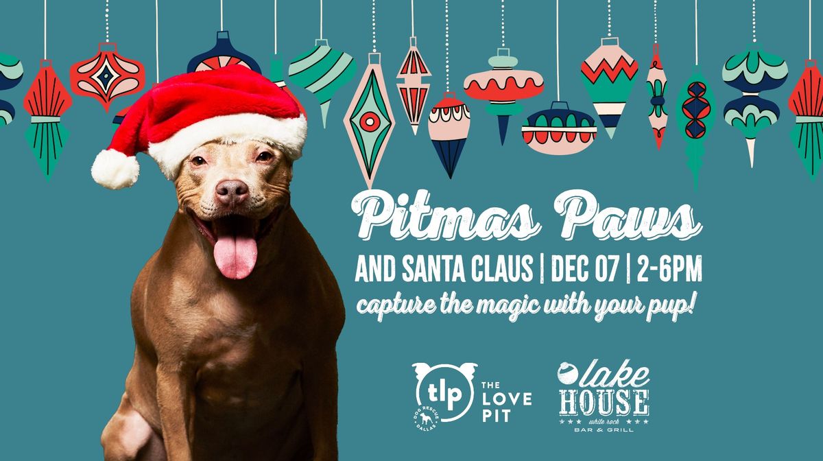 Pitmas Paws and Santa Claus