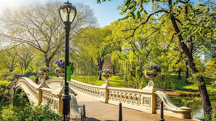 Central Park Sunset Singles Stroll