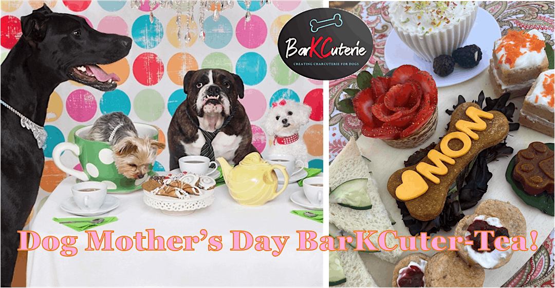 BarKCuterie Board Build: Dog Mother\u2019s Day Tea Party!
