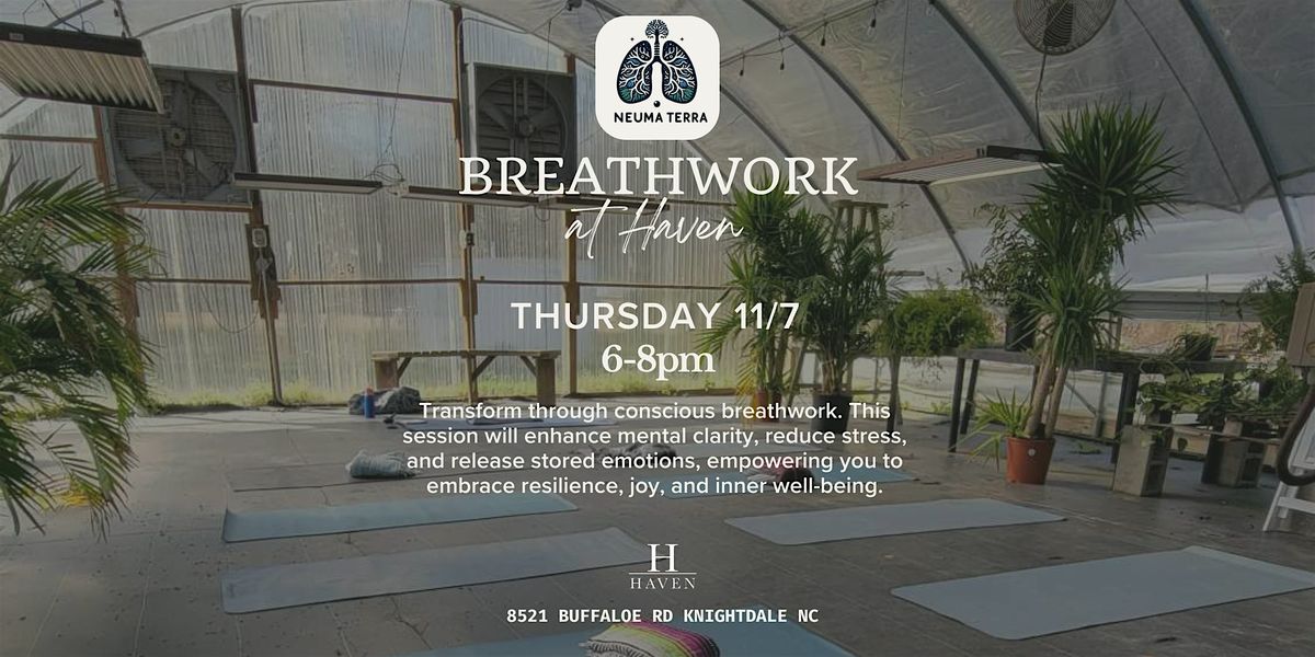 Breathwork at Haven