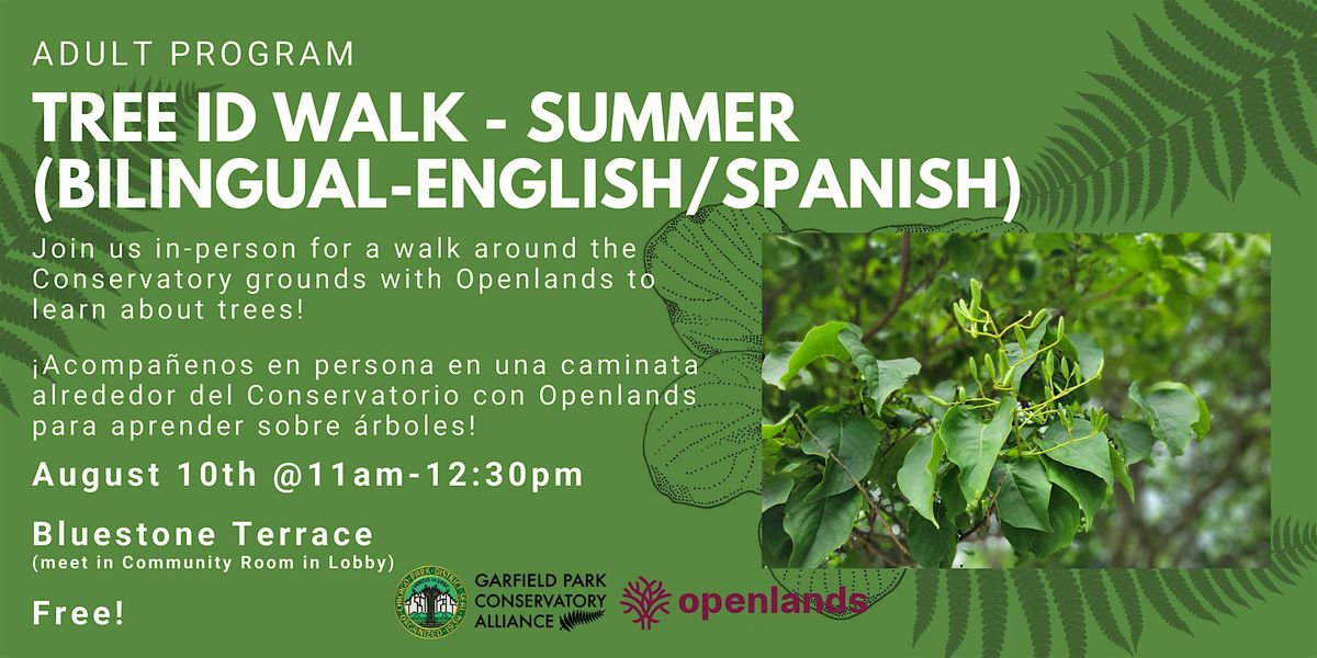 Tree ID Walk - Summer (Bilingual-English\/Spanish)