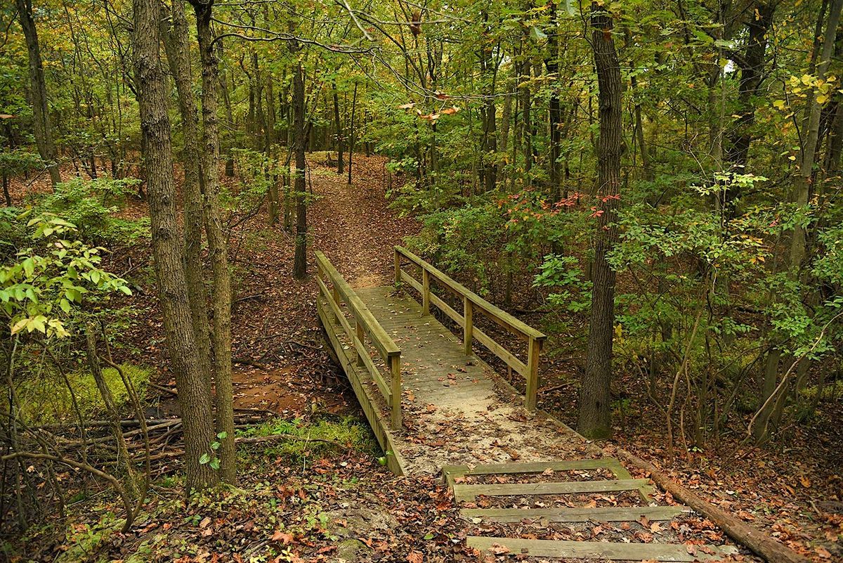 Tappen\u2019s Creek and Kreischerville Walking Tour