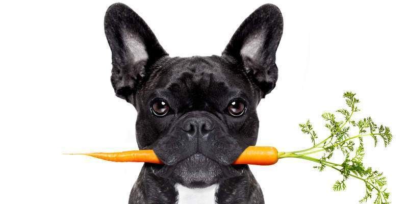 National Eat Your Vegetables Day!
