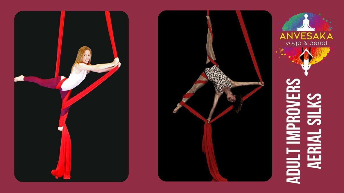 Stockton - Saturday 11.45 am Adult Improvers Aerial Silks