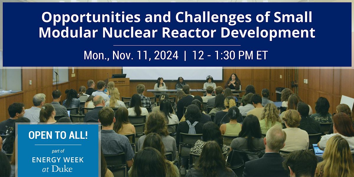 Opportunities and Challenges of Small Modular Nuclear Reactor Development