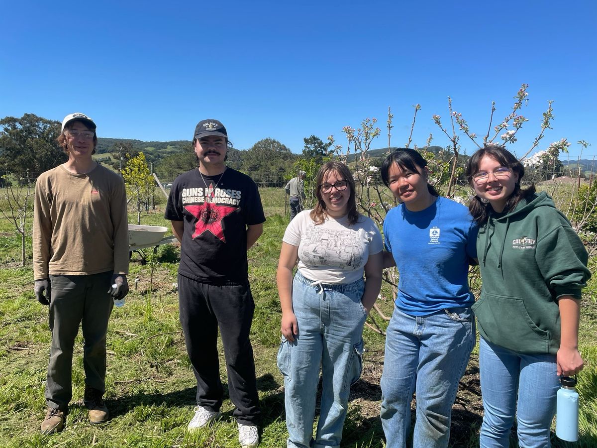 Orchard Care (Volunteer Opportunity)